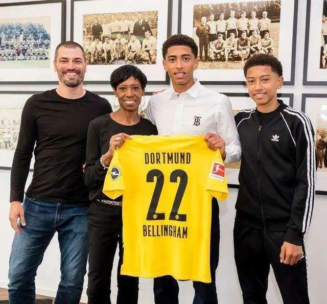 成的最新动 成的最新动