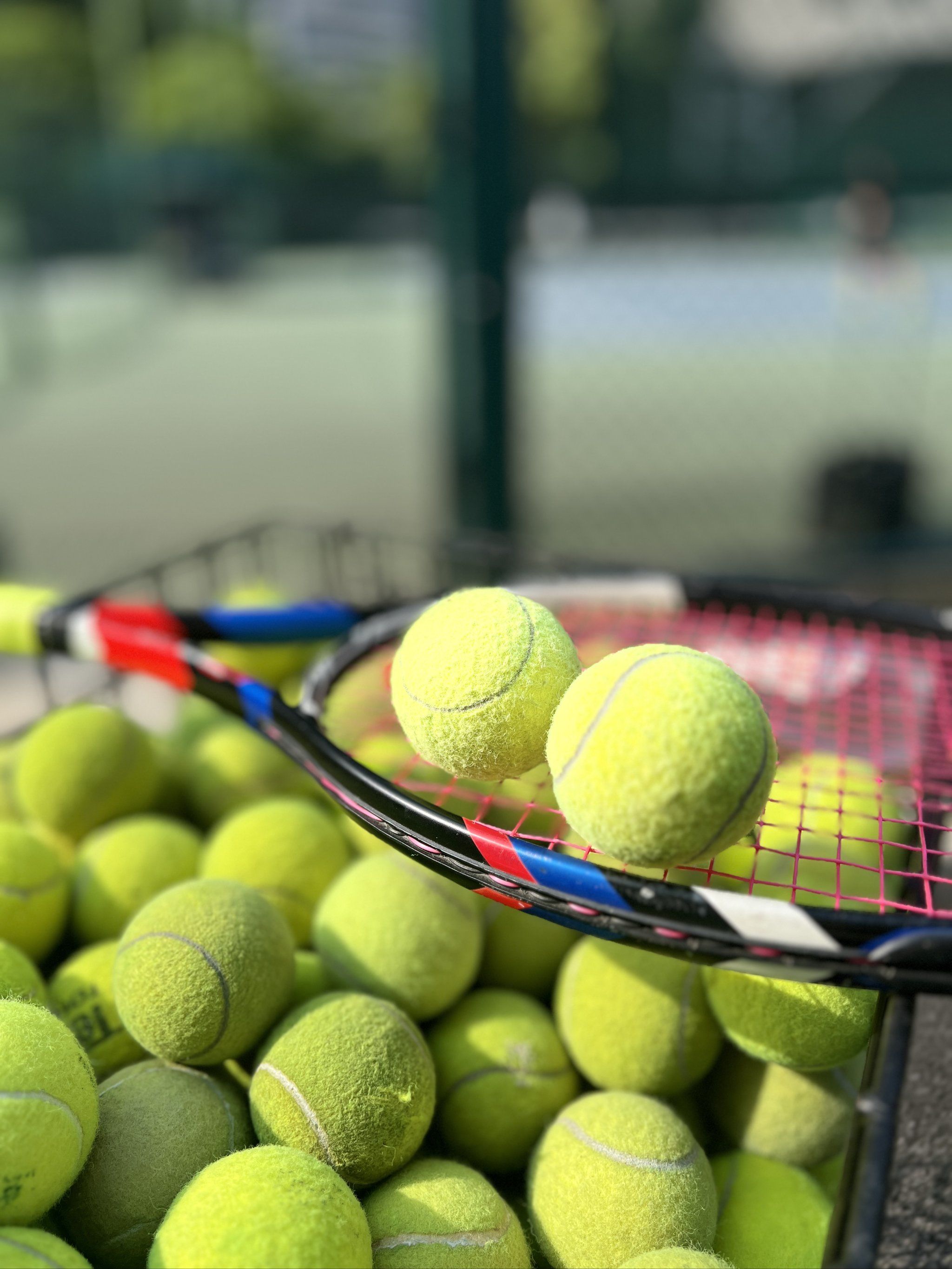 公平竞赛的 公平竞赛的